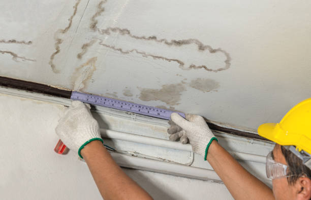 Reliable Flood Cleanup contractor in Commerce City, CO by Water Damage Irwin